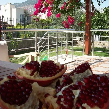 Vila Villas Mandalyas