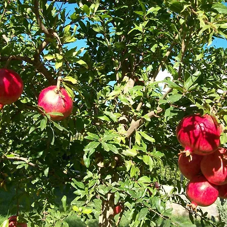 Villas Mandalyas * Gundogan (Bodrum)