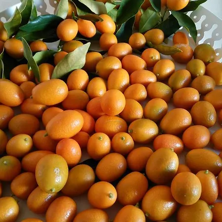 Villas Mandalyas *