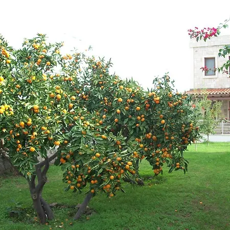 Villas Mandalyas Gündoğan